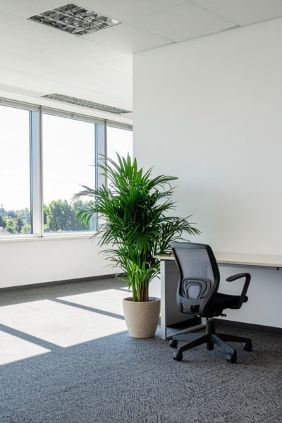 Professional commercial cleaning services